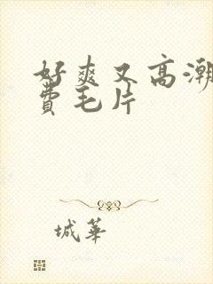 好爽又高潮了免费毛片