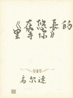 《在悠长的时光里等你》