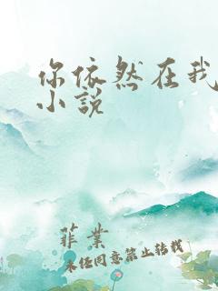 你依然在我梦里小说