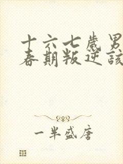 十六七岁男孩青春期叛逆该怎么办