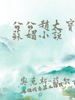 公公赵大宝儿媳苏媚小说