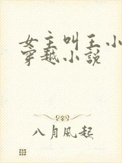 女主叫王小小的穿越小说