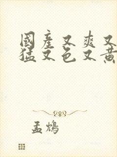 国产又爽又粗又猛又色又黄视频