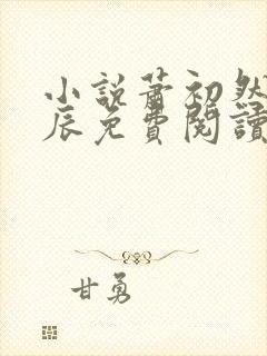 小说萧初然与叶辰免费阅读