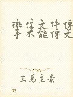 微信文件传输助手不能传文件怎么办