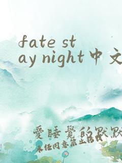 fate stay night中文最终版