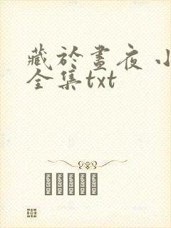 藏于昼夜 小说全集txt