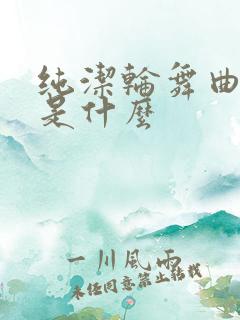 纯洁轮舞曲讲的是什么