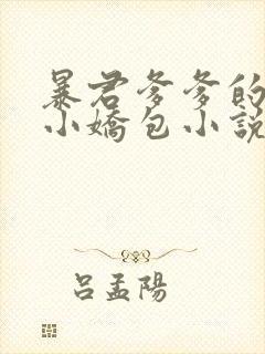 暴君爹爹的团宠小娇包小说全文