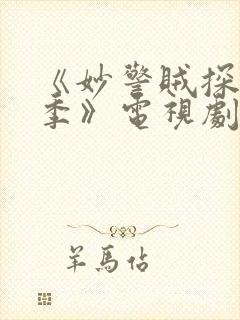 《妙警贼探第三季》电视剧