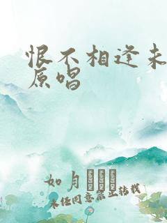 恨不相逢未嫁时原唱