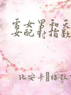 处女男和天秤座女配对指数