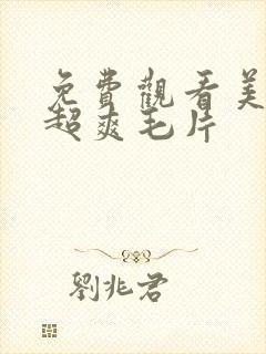 免费观看美日韩超爽毛片