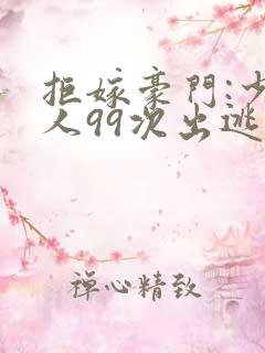 拒嫁豪门:少夫人99次出逃》