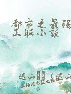 都市之最强狂兵正版小说