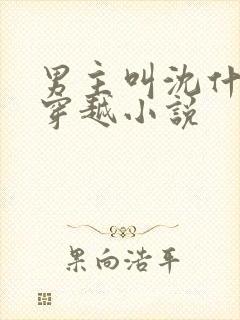 男主叫沈什么的穿越小说