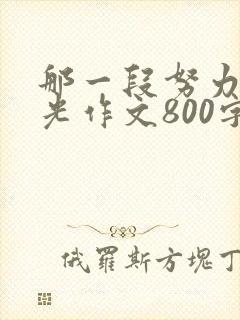 那一段努力的时光作文800字