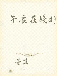 午夜在线dj
