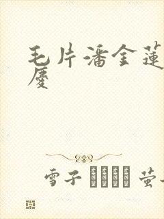 毛片潘金莲西门庆