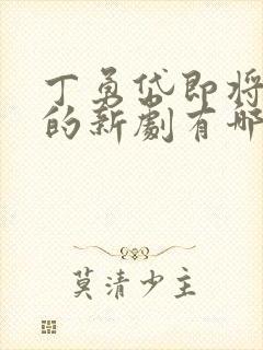 丁勇岱即将播出的新剧有哪些