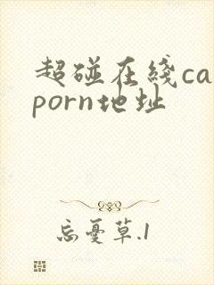 超碰在线caoporn地址