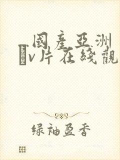 ...国产亚洲ēv片在线观看不卡国产精...