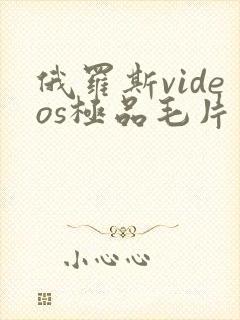 俄罗斯videos极品毛片