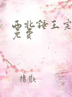 西北锤王完整版免费