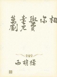 万幸与你相逢短剧免费