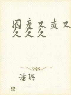 国产又爽又高潮久久久