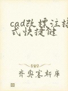 cad改标注样式快捷键