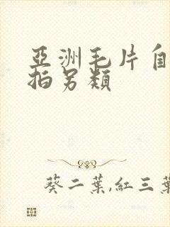 亚洲毛片自偷自拍另类