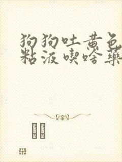 狗狗吐黄色泡沫粘液吃啥药