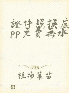 证件照换底色app免费无水印