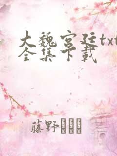 大魏宫廷txt全集下载
