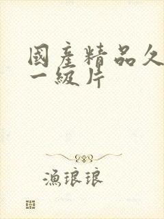 国产精品久久久一级片