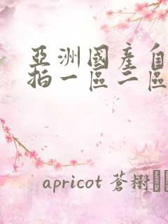 亚洲国产自拍偷拍一区二区