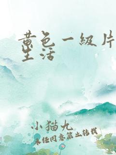 黄色一级片夫妻生活