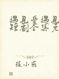 遇见爱遇见幸福短剧全集免费版