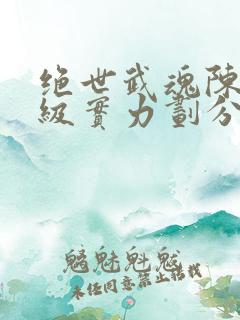 绝世武魂陈枫等级实力划分