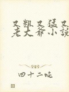 又粗又猛又爽黄老大爷小说