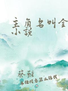 主角名叫金峰的小说