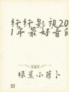 纤纤影视2021年最好看的电视剧是