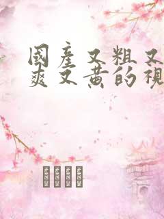 国产又粗又猛又爽又黄的视频,久久精品视频