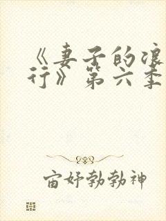 《妻子的浪漫旅行》第六季