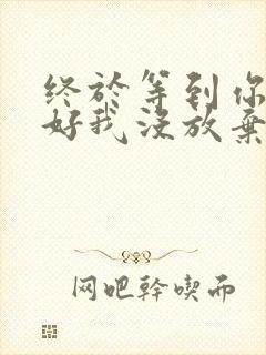 终于等到你,还好我没放弃是什么歌