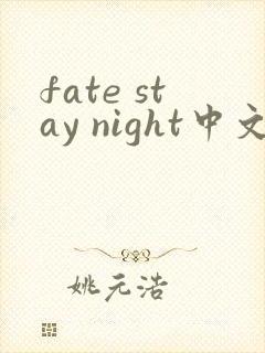 fate stay night中文版