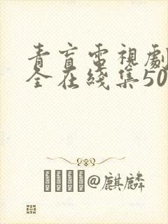 青盲电视剧免费全在线集50 高清