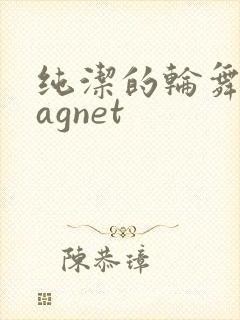 纯洁的轮舞曲magnet