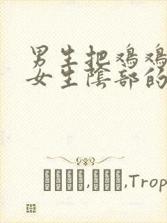 男生把鸡鸡插入女生阴部的视频